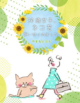 30岁第一次养猫