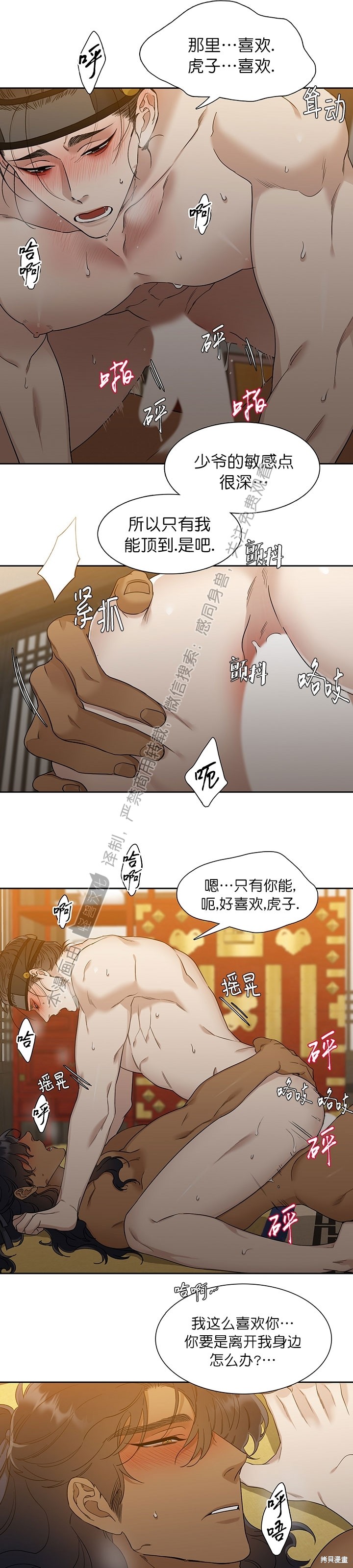 19.jpg