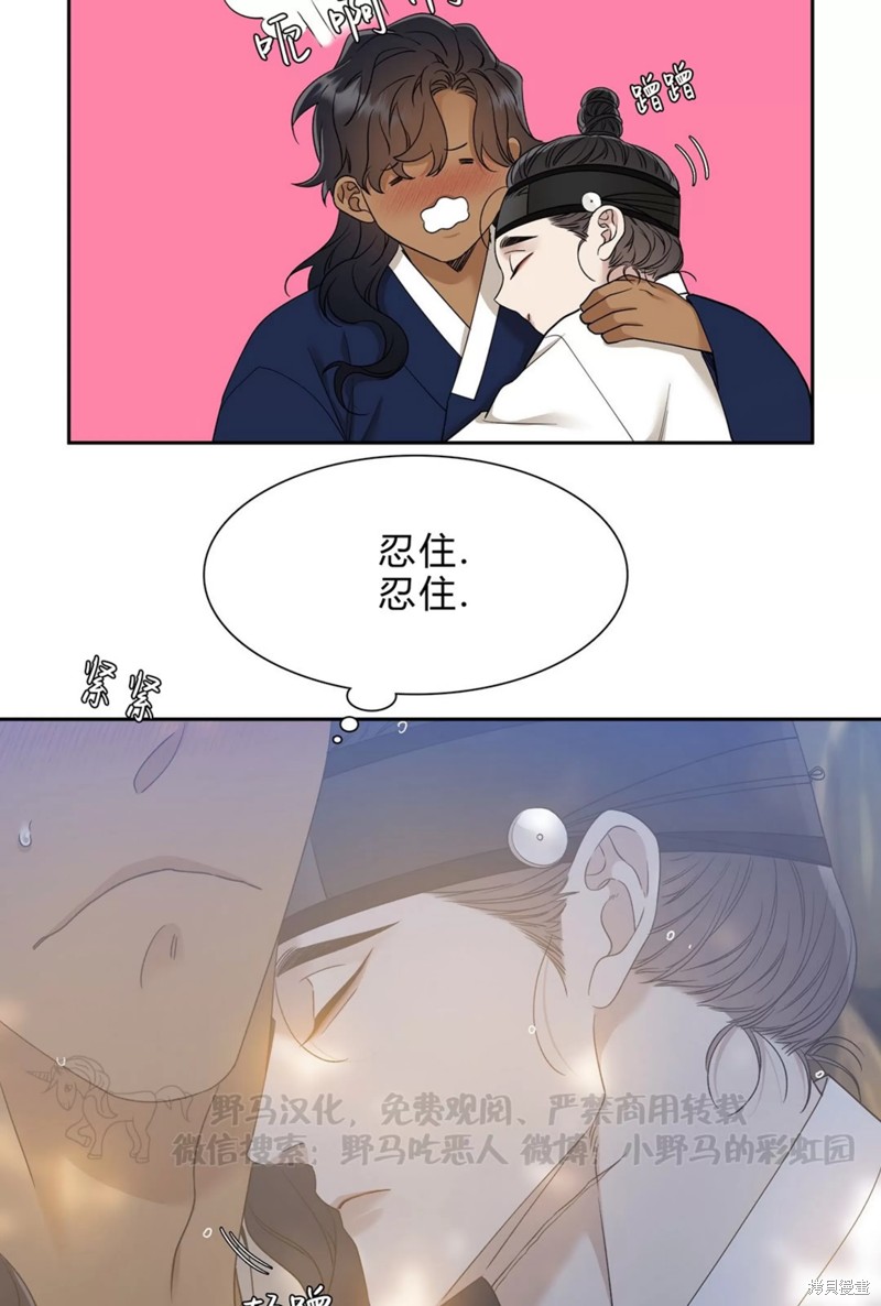 49.jpg