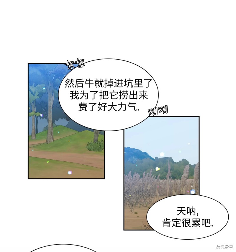 39.jpg
