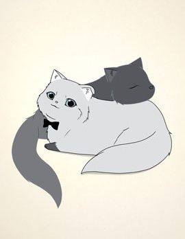 白猫与黑猫