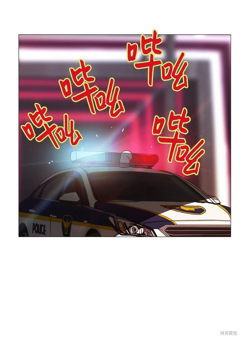 81.jpg