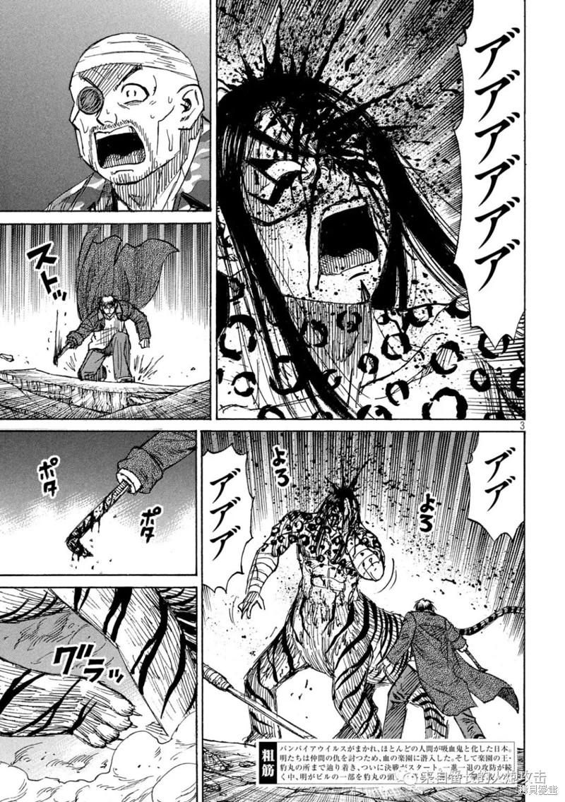 彼岸岛漫画3部316话