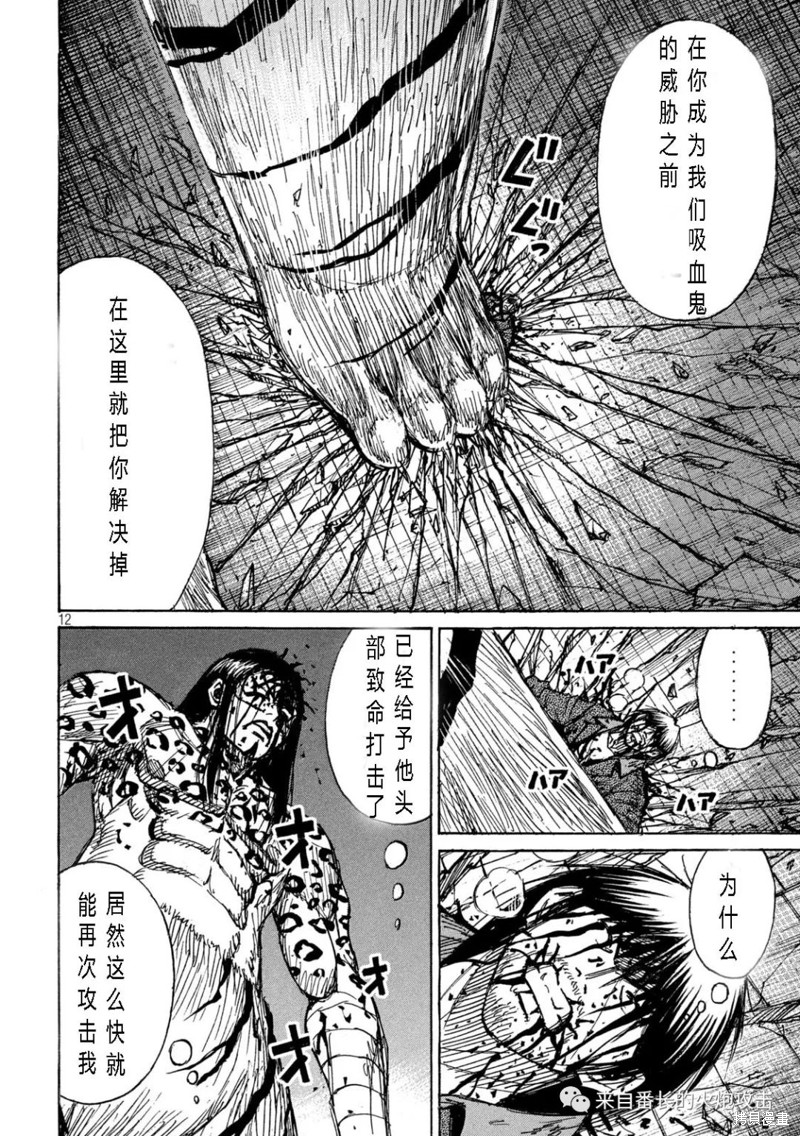 彼岸岛漫画3部316话