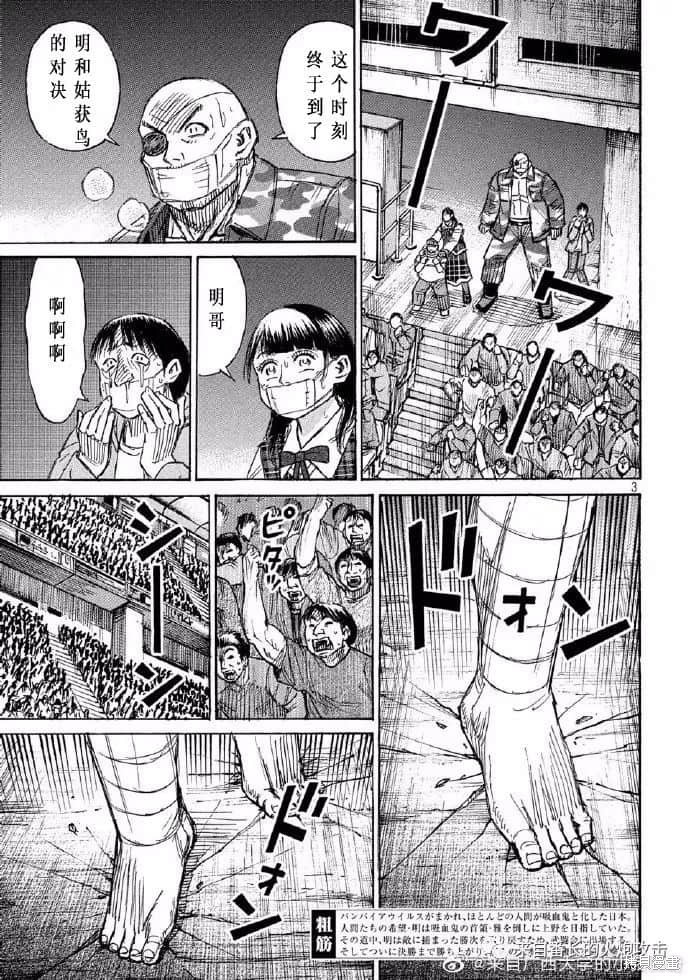 彼岸岛漫画3部206话