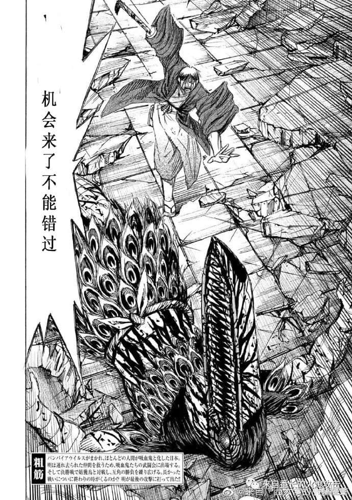 彼岸岛漫画3部220话