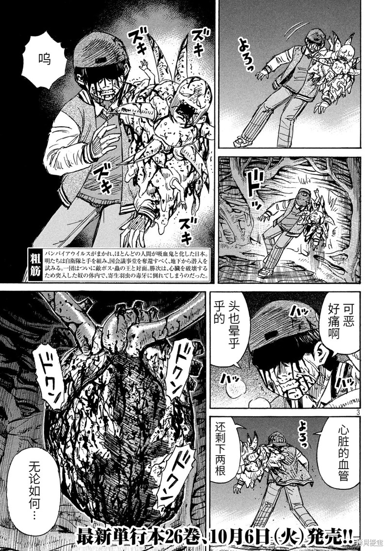 彼岸岛漫画3部259话