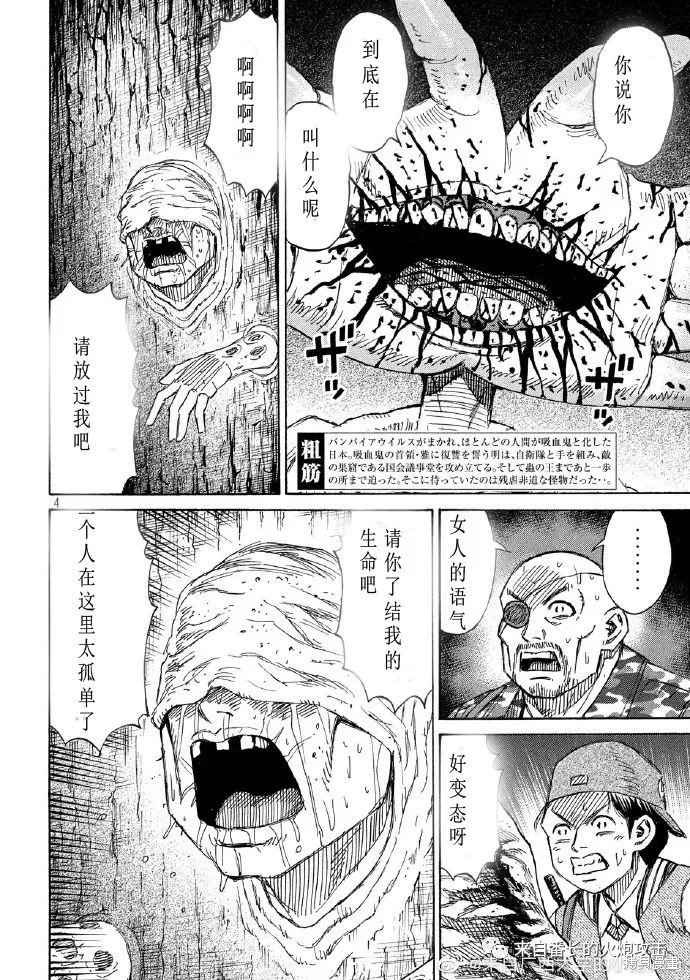 彼岸岛漫画3部239话