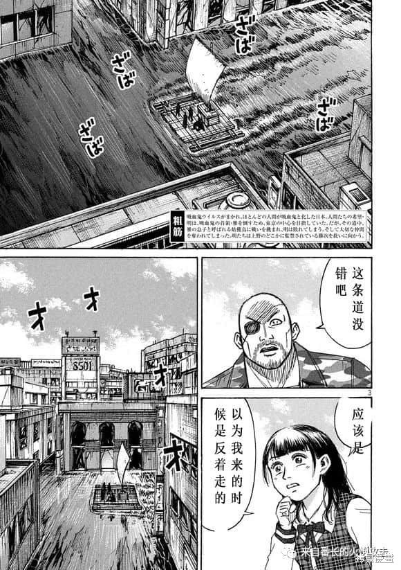 彼岸岛漫画3部177话