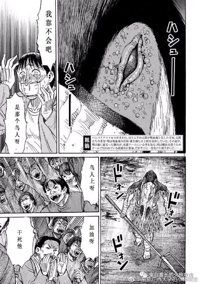 彼岸岛漫画3部203话