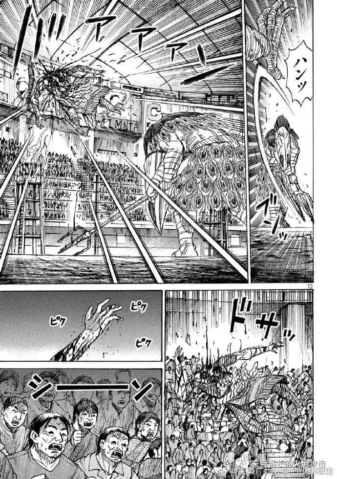 彼岸岛漫画3部203话