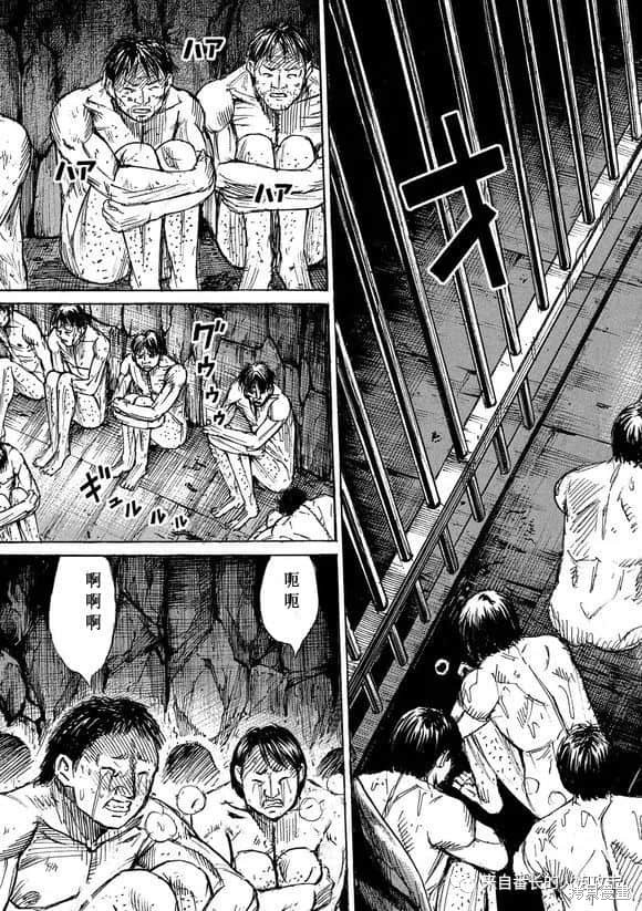 彼岸岛漫画3部176话