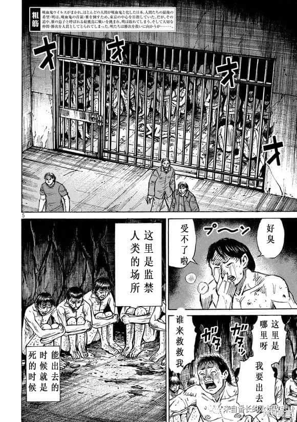 彼岸岛漫画3部176话