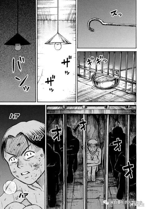 彼岸岛漫画3部176话