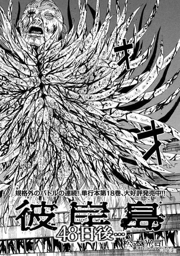 彼岸岛漫画3部188话