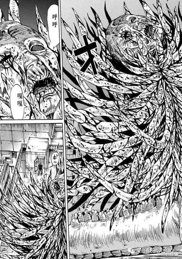彼岸岛漫画3部188话