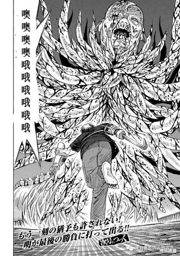 彼岸岛漫画3部188话