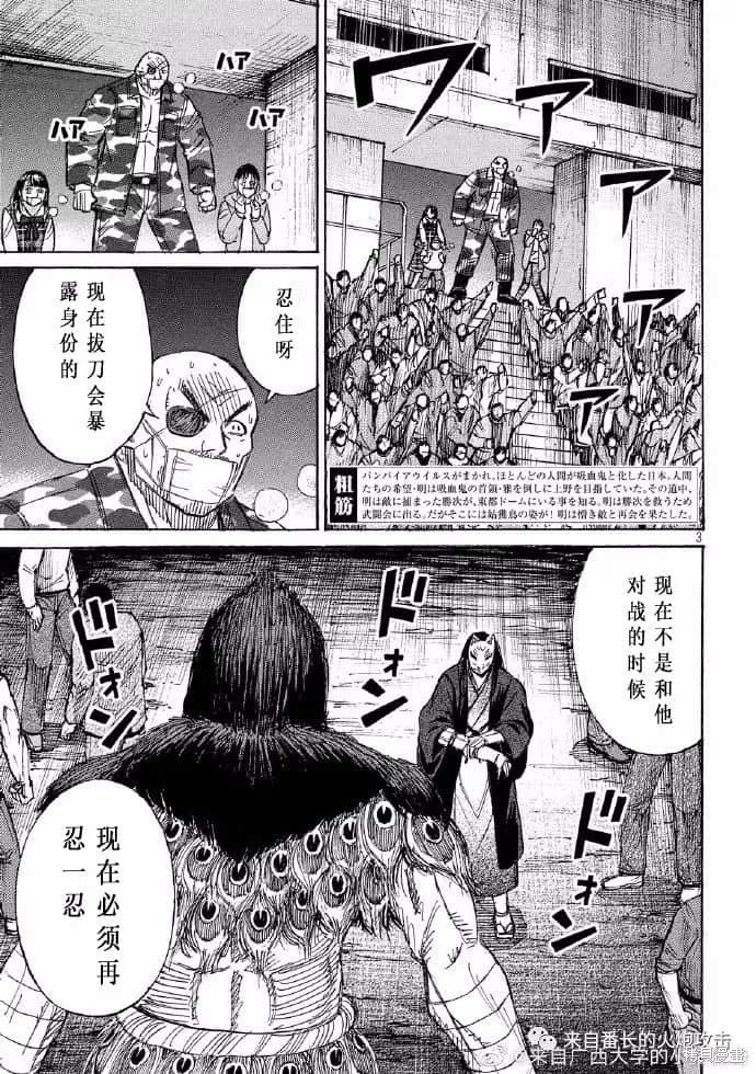 彼岸岛漫画3部204话