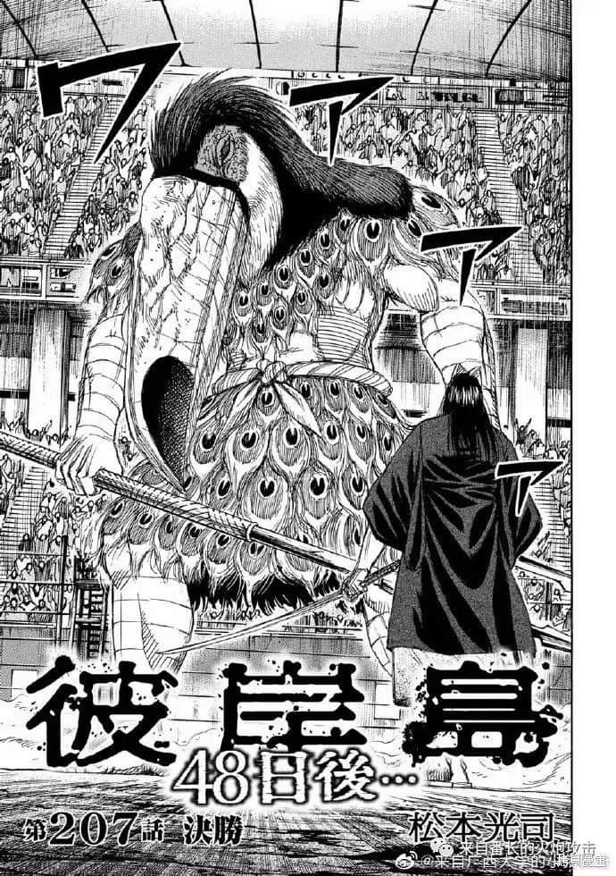 彼岸岛漫画3部207话