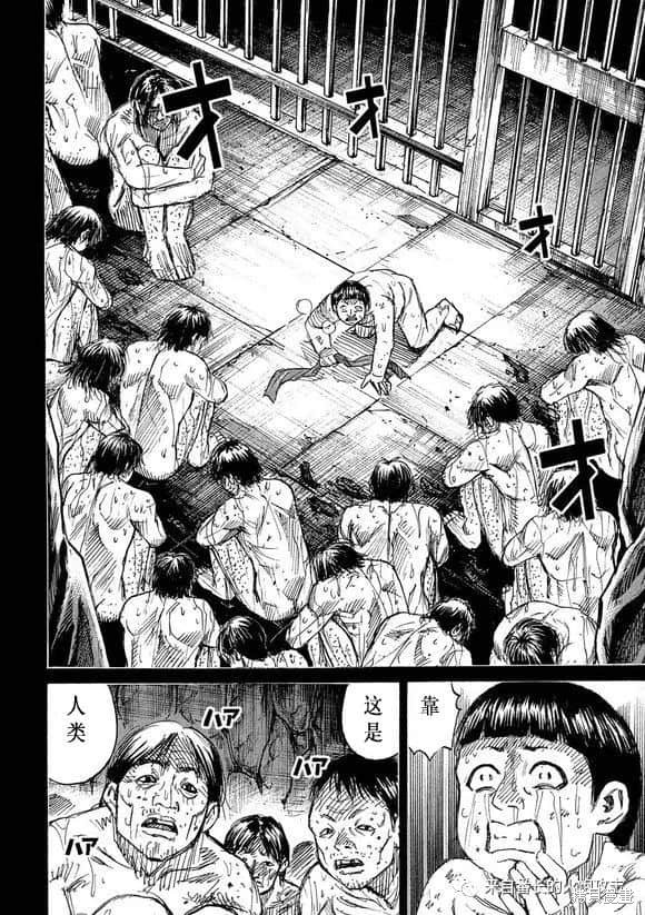 彼岸岛漫画3部193话