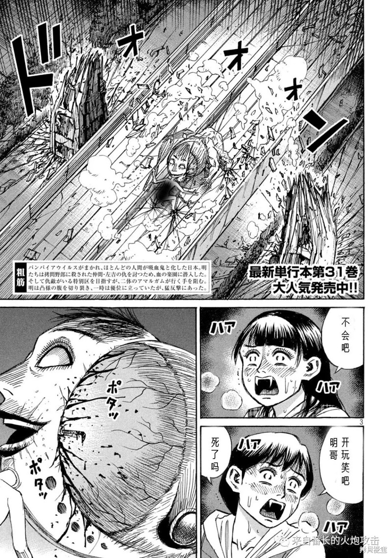 彼岸岛漫画3部304话