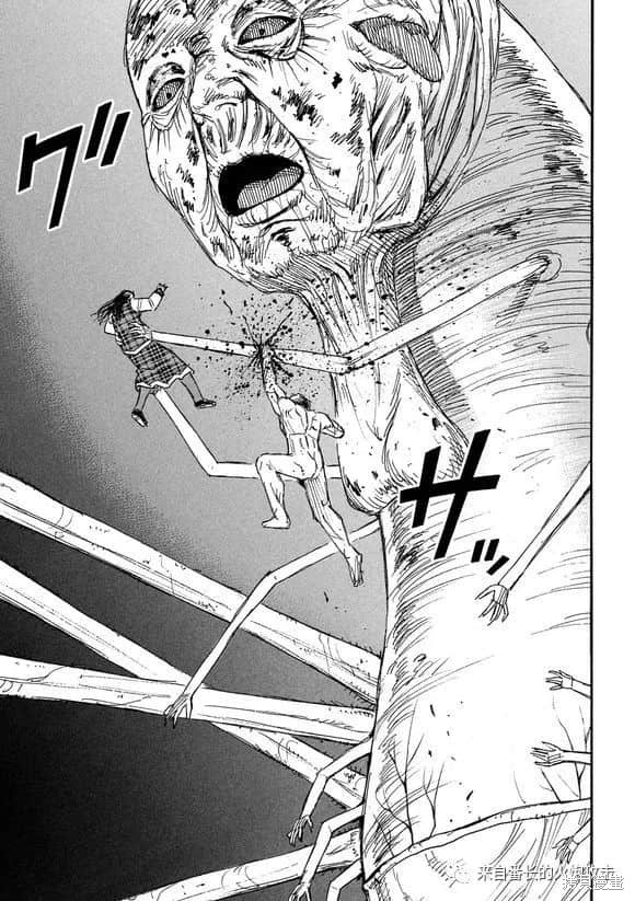 彼岸岛漫画3部184话