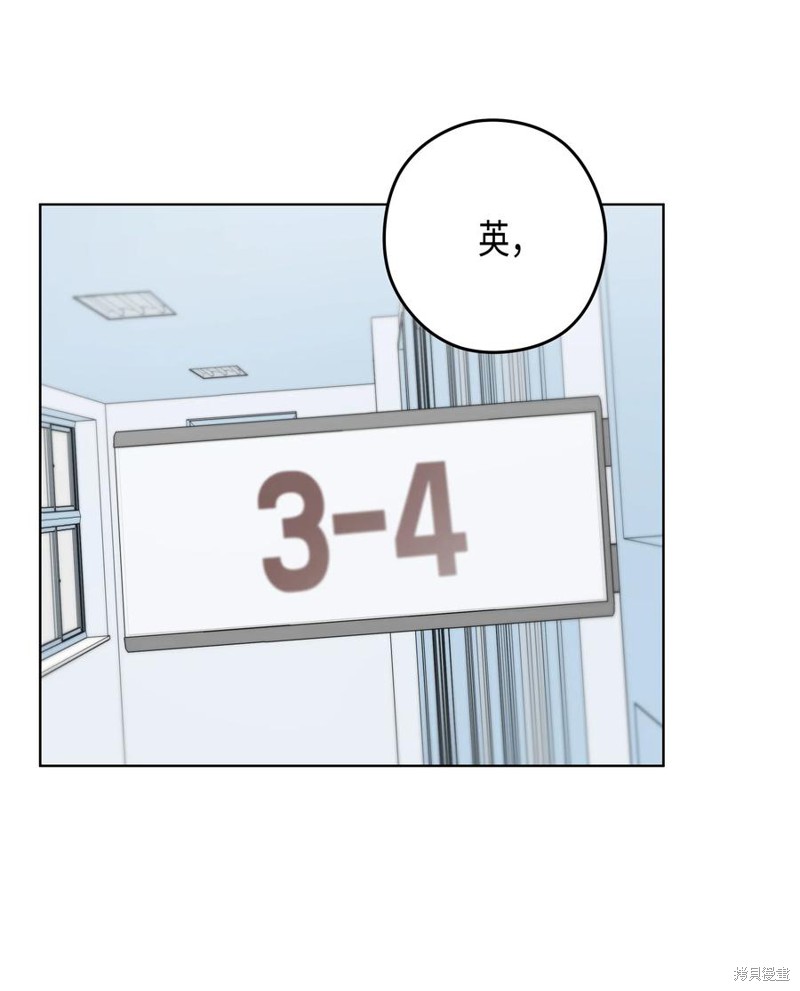 48.jpg