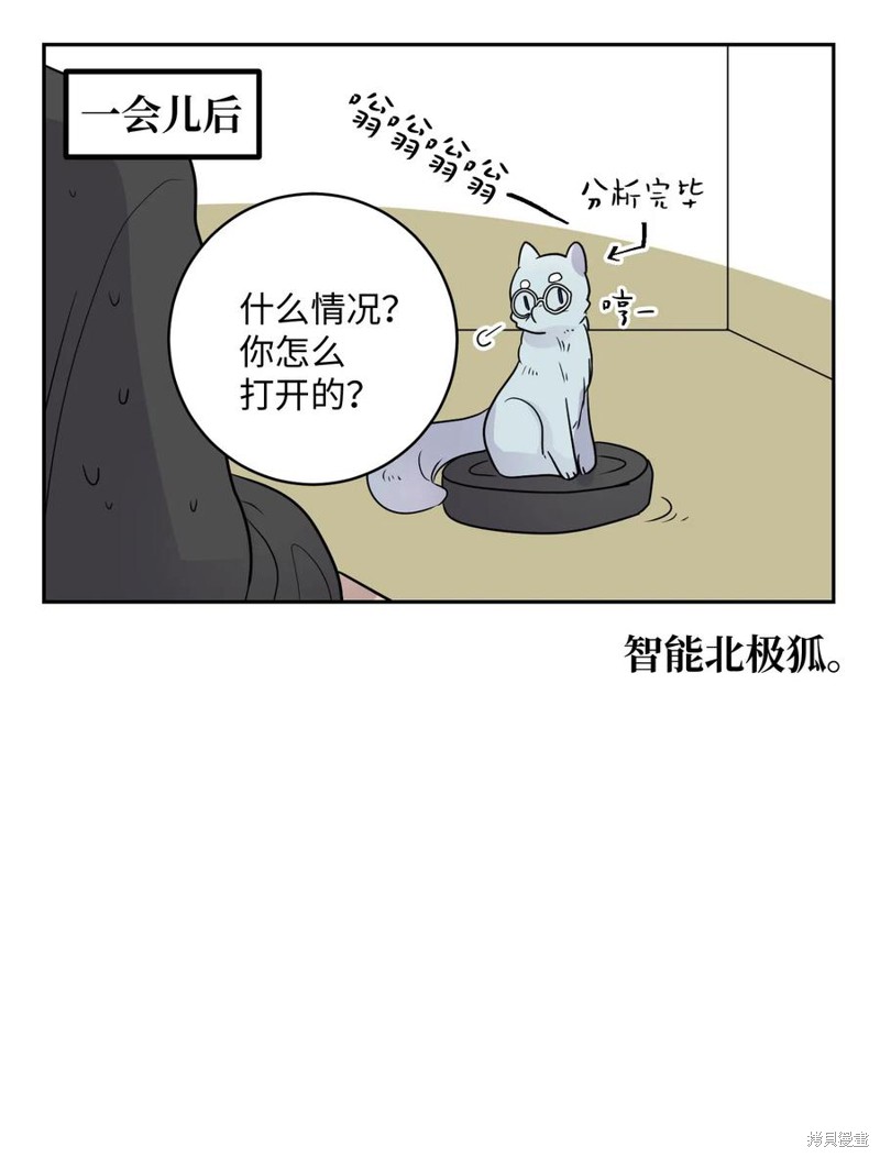 20.jpg