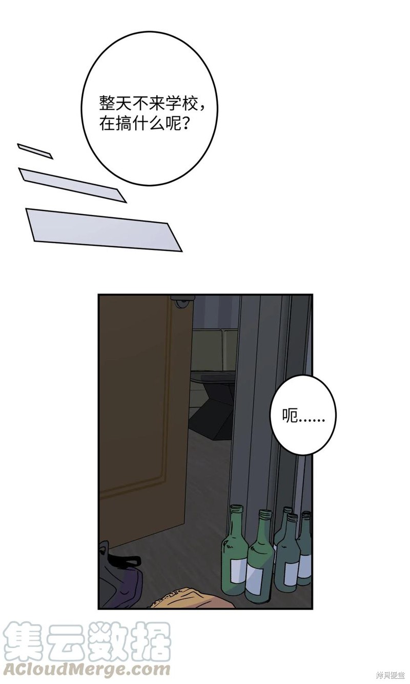 41.jpg
