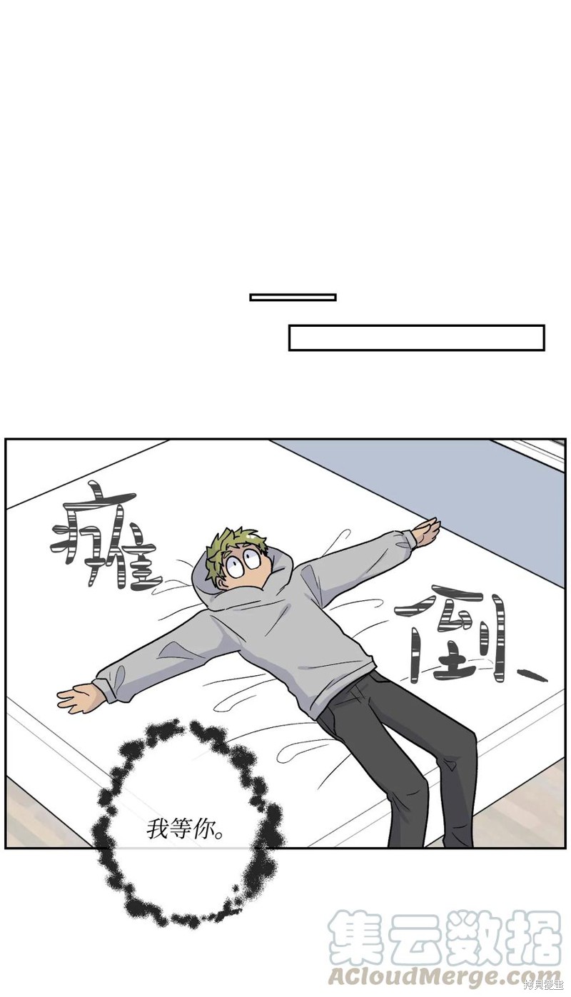 41.jpg