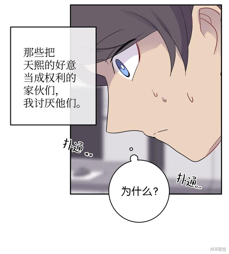 51.jpg