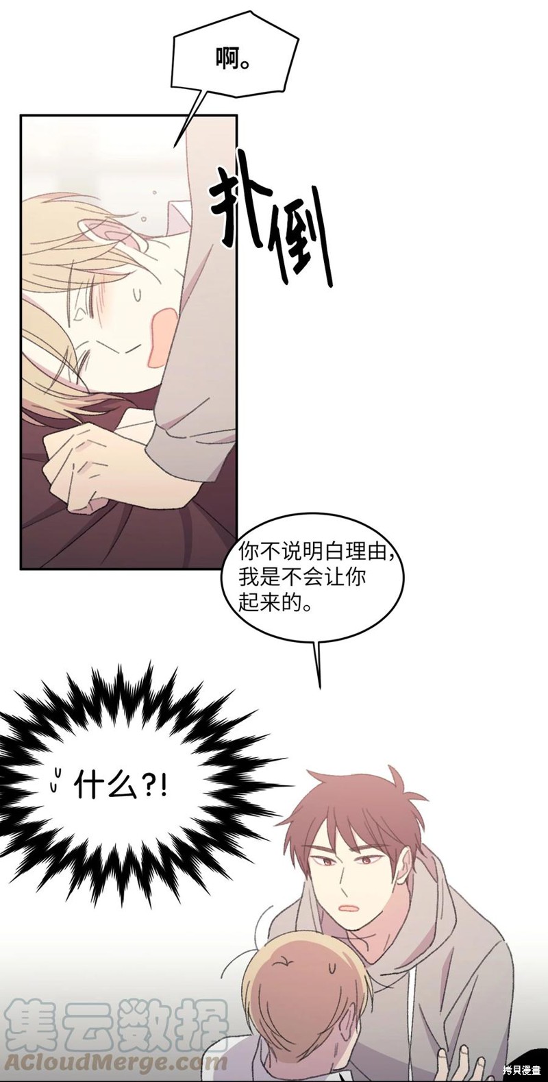 15.jpg