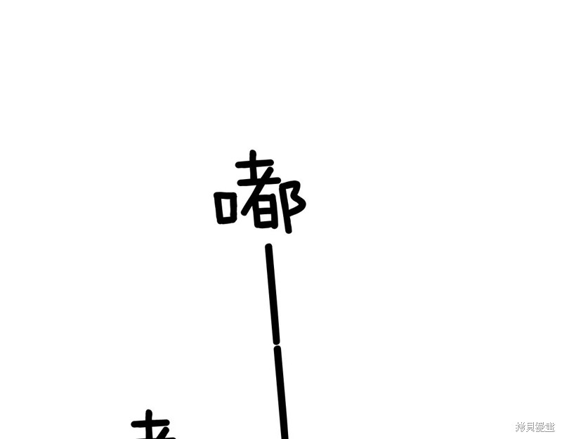 155.jpg