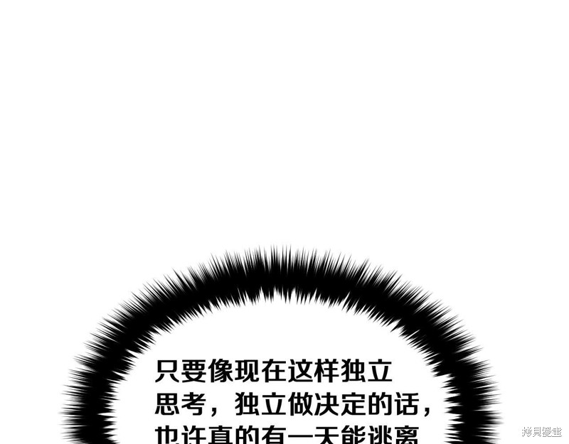 169.jpg