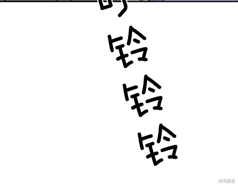 137.jpg