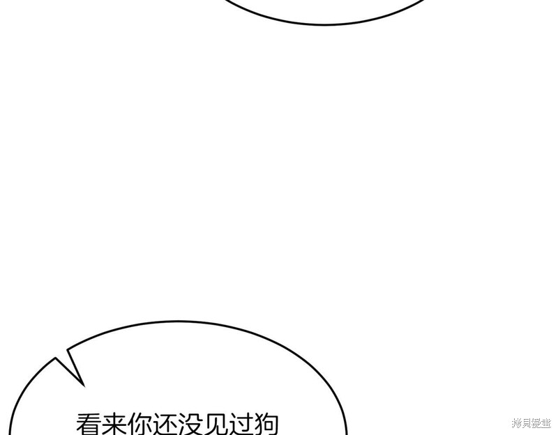 62.jpg