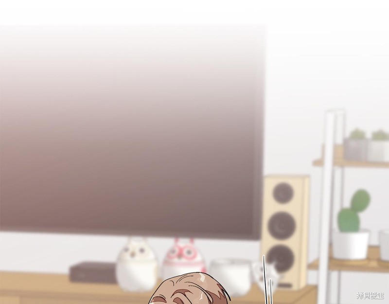 224.jpg