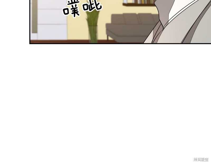 146.jpg