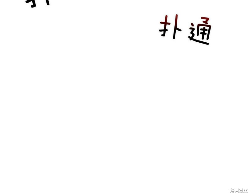 244.jpg