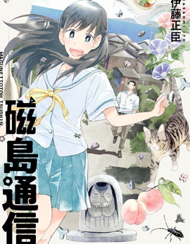 磁岛通信