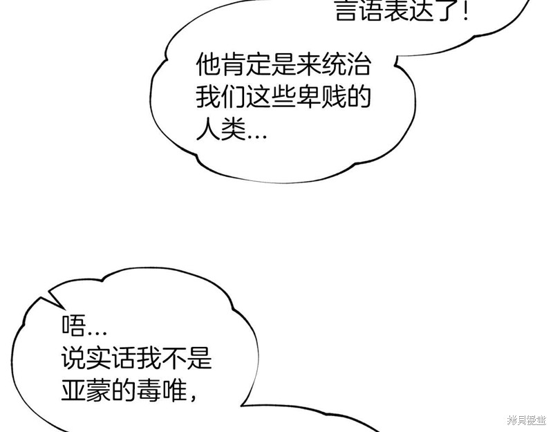 97.jpg