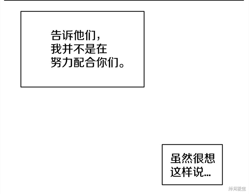 113.jpg
