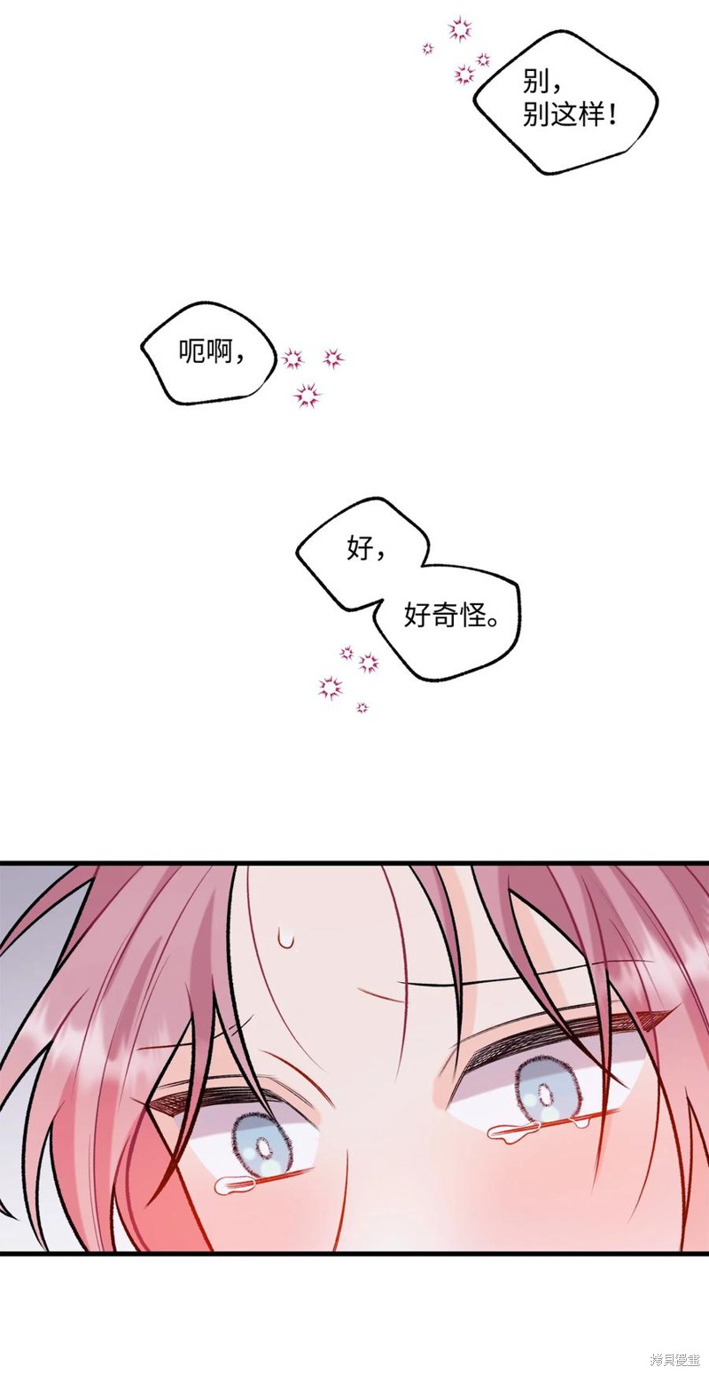 47.jpg