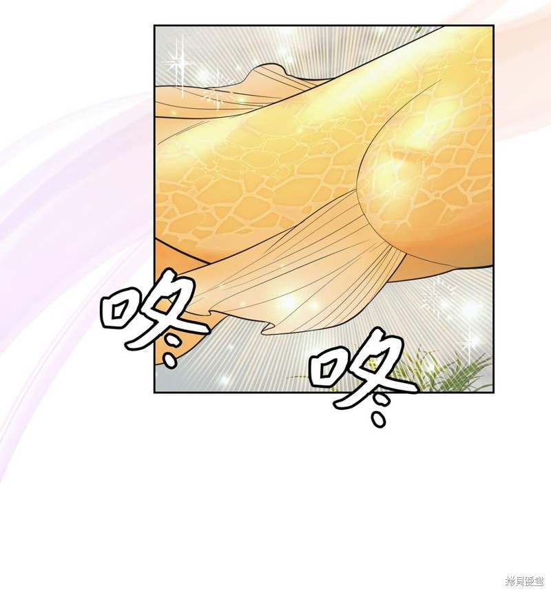 50.jpg
