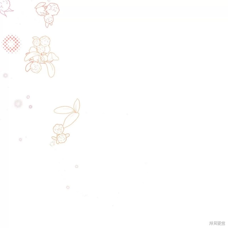 113.jpg