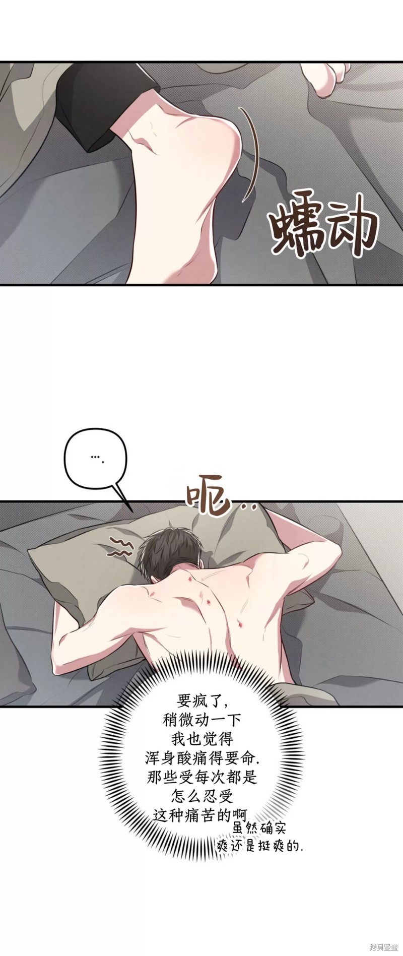 53.jpg