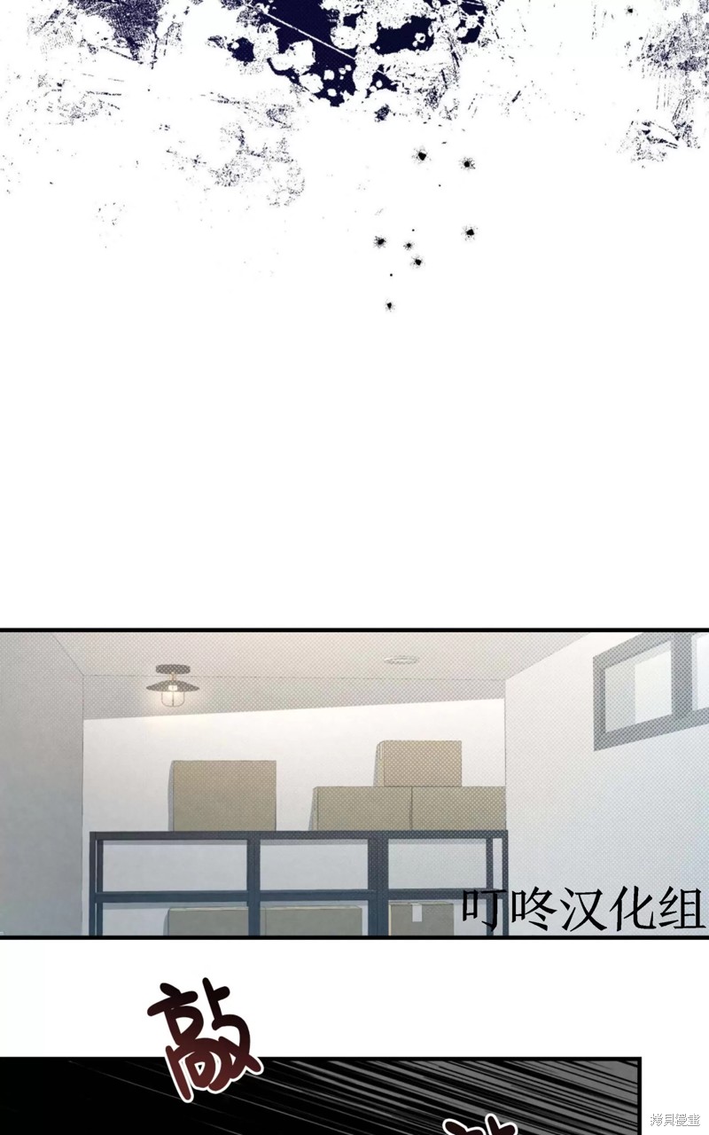 46.jpg