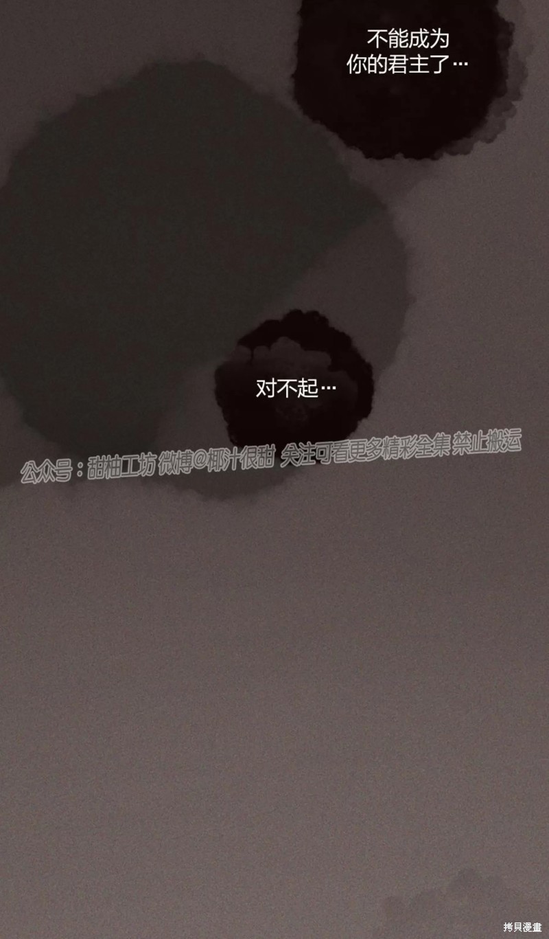 48.jpg