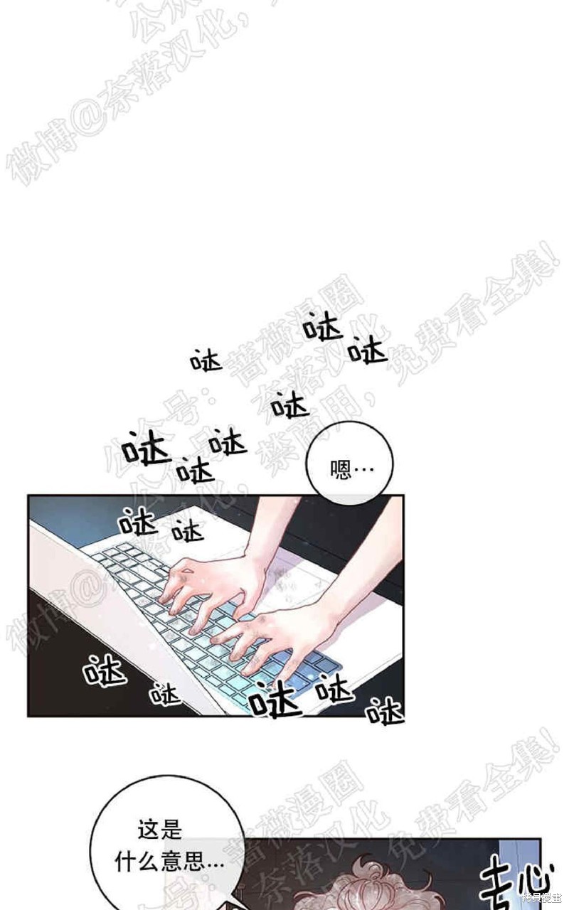 28.jpg