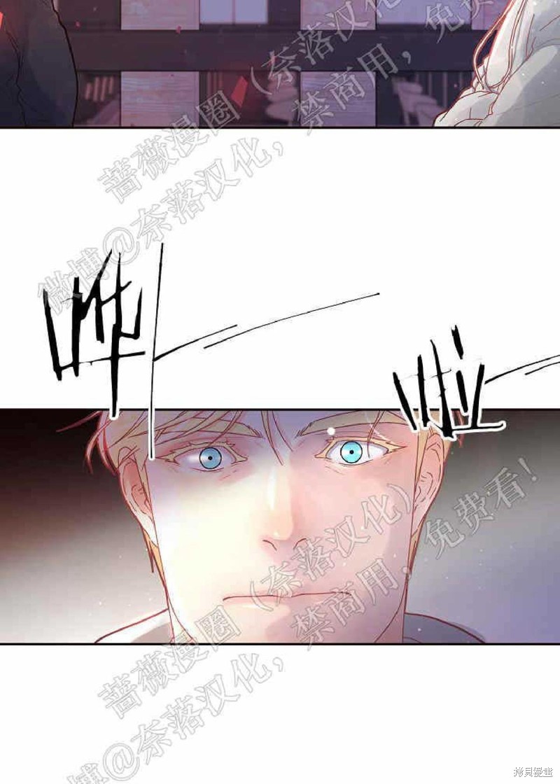 51.jpg